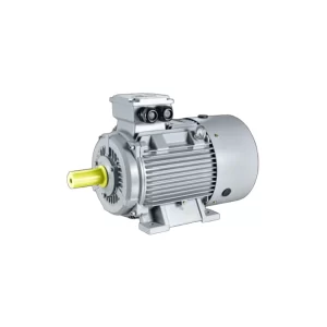 Motor Eléctrico Marca Motofers (Ms)