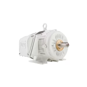Motor Resistente al Agua W22 Wash Marca Weg